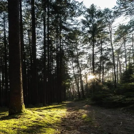 In Thuringian Forest With Garden *
