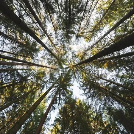 Lejlighed Quiet Couples