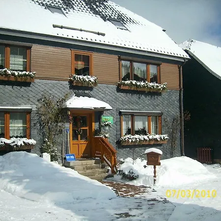 In Thuringian Forest With Garden Apartment *