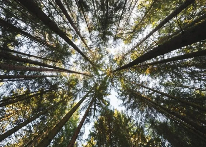 アパート Quiet Couples