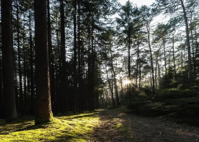 アパート Quiet Couples